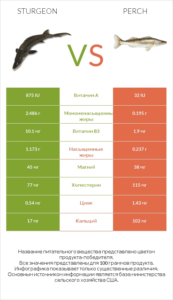 Sturgeon vs Perch infographic