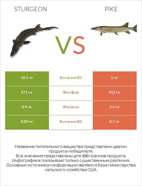 Sturgeon vs Pike infographic