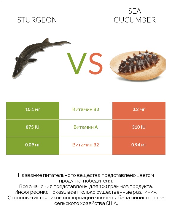 Sturgeon vs Sea cucumber infographic