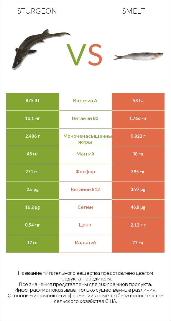 Sturgeon vs Smelt infographic