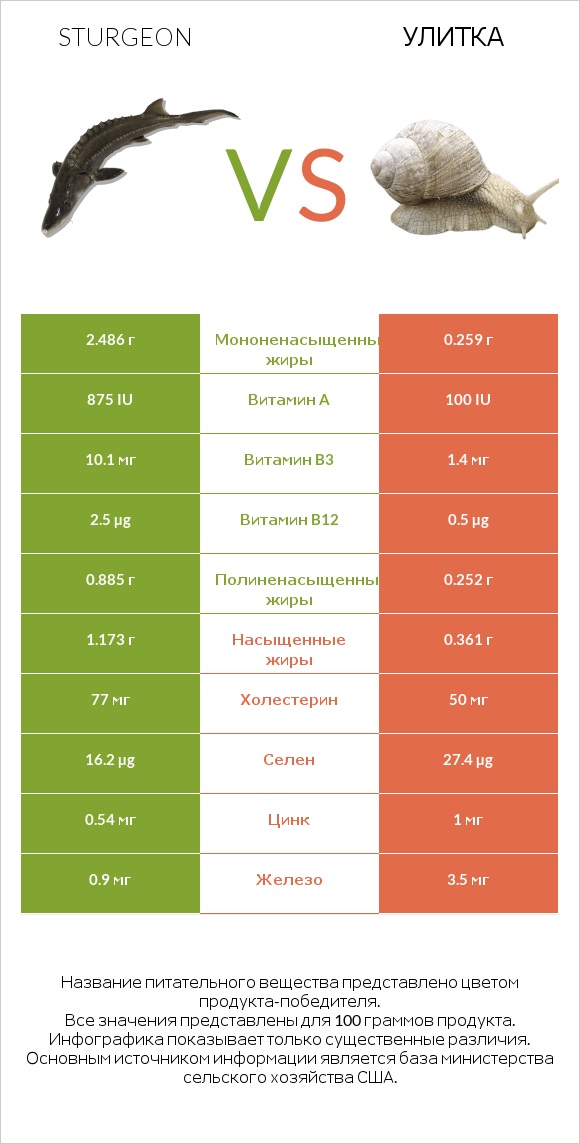 Sturgeon vs Улитка infographic