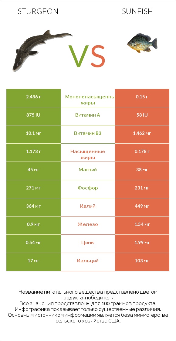 Sturgeon vs Sunfish infographic