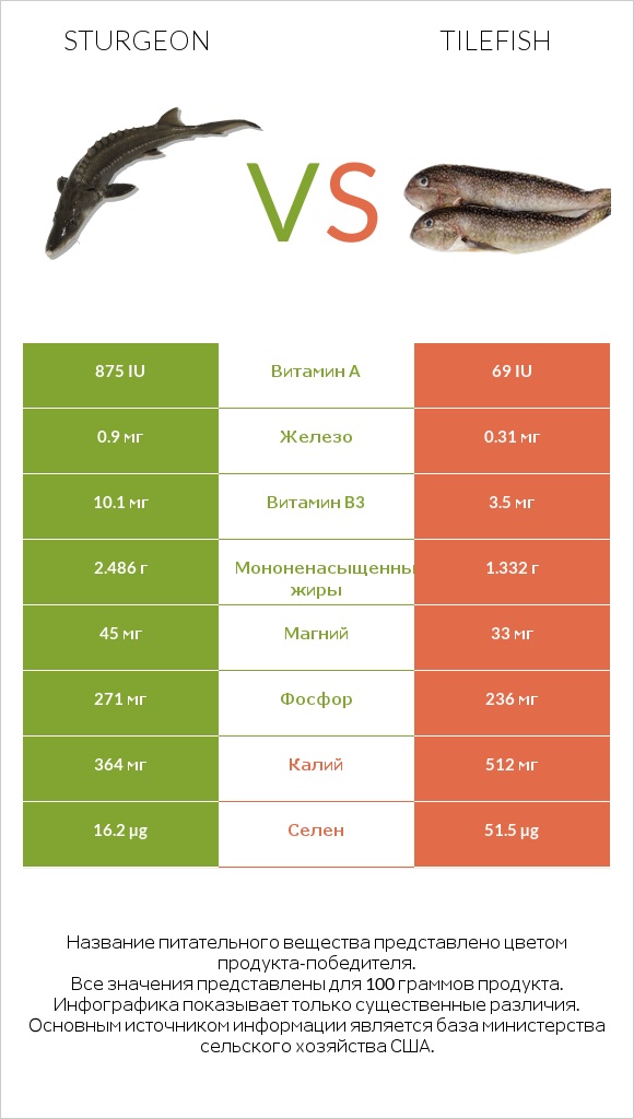 Sturgeon vs Tilefish infographic