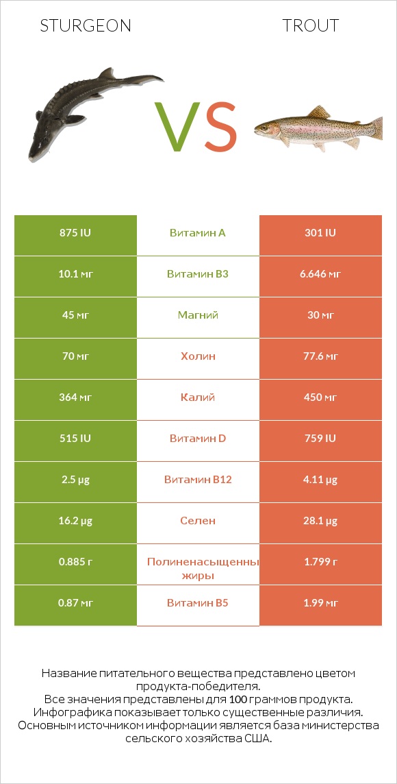 Sturgeon vs Trout infographic