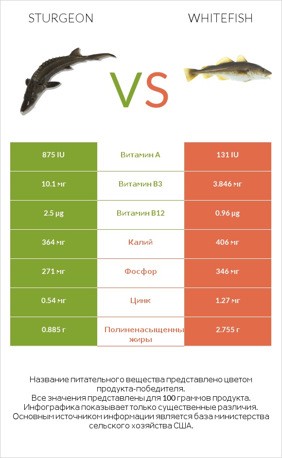 Sturgeon vs Whitefish infographic