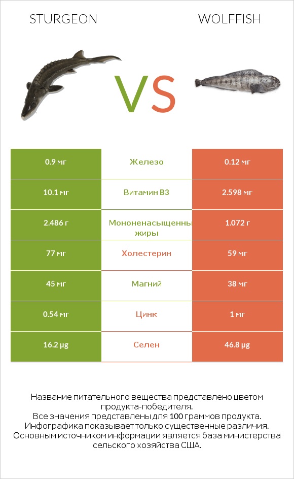 Sturgeon vs Wolffish infographic