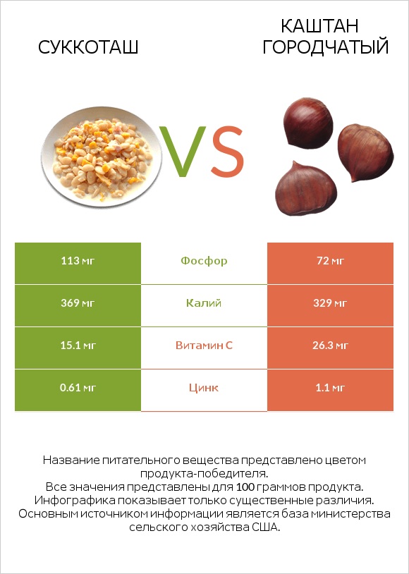 Суккоташ vs Каштан городчатый infographic