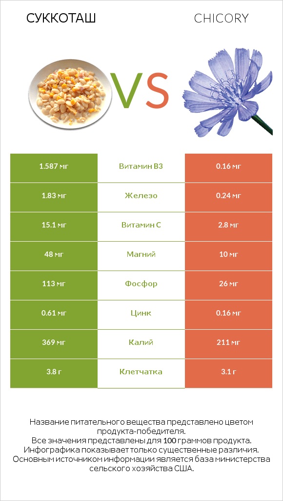 Суккоташ vs Chicory infographic