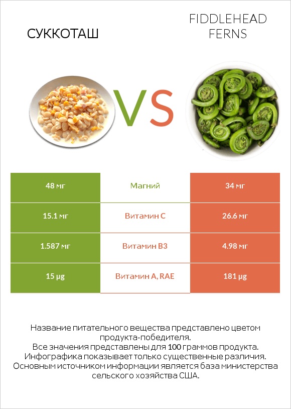 Суккоташ vs Fiddlehead ferns infographic