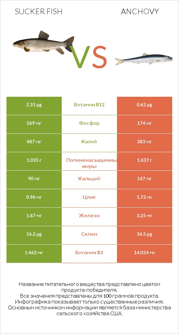 Sucker fish vs Anchovy infographic