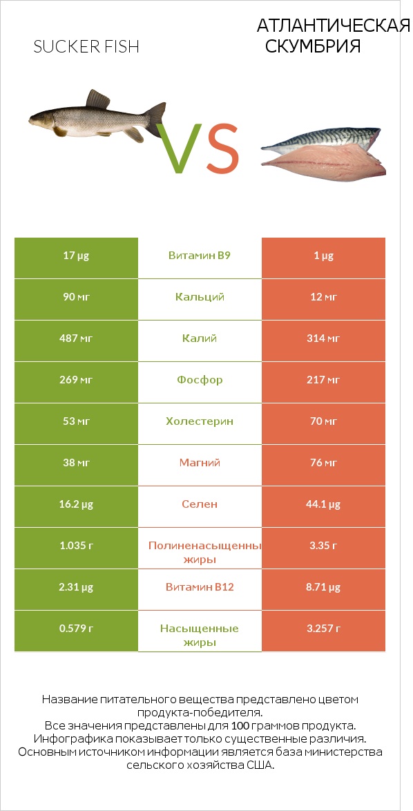Sucker fish vs Атлантическая скумбрия infographic