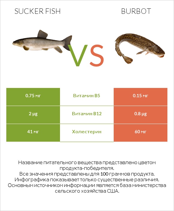 Sucker fish vs Burbot infographic
