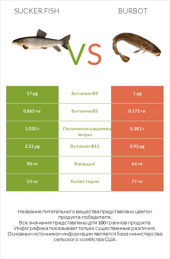 Sucker fish vs Burbot infographic