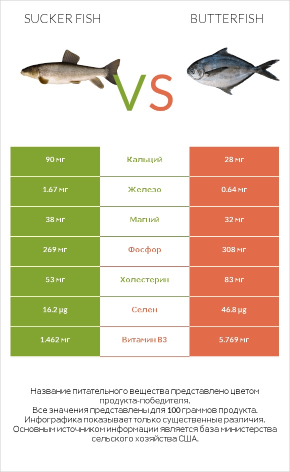 Sucker fish vs Butterfish infographic