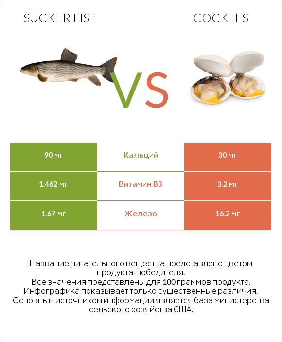 Sucker fish vs Cockles infographic