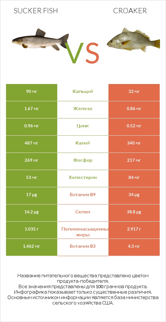 Sucker fish vs Croaker infographic