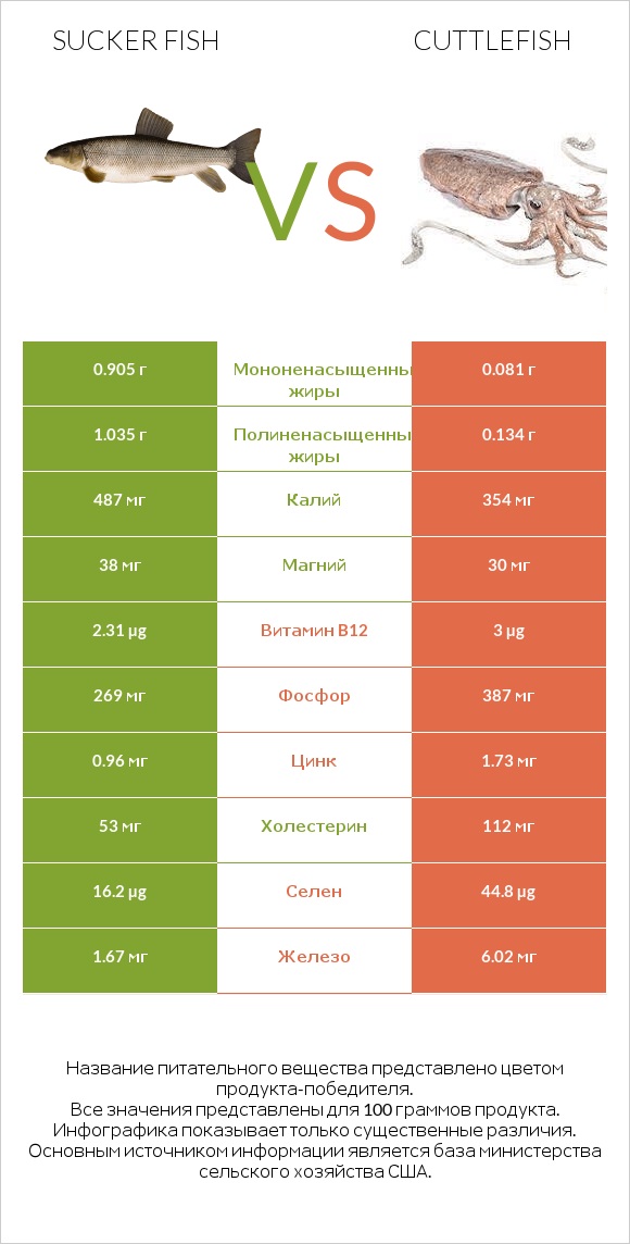 Sucker fish vs Cuttlefish infographic