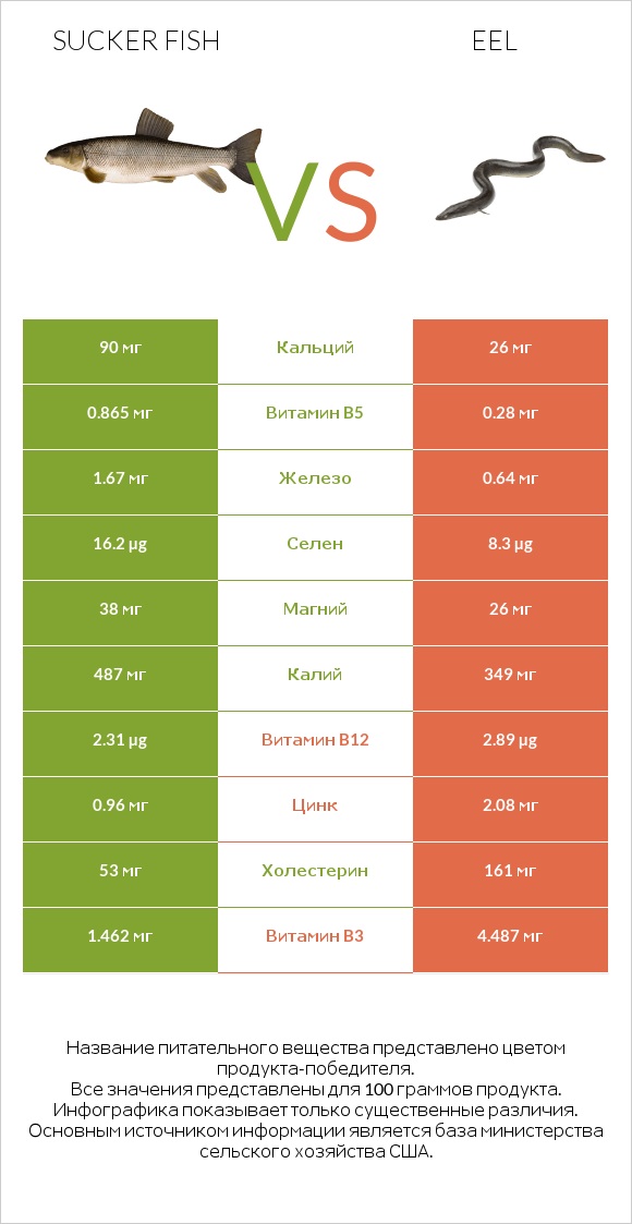 Sucker fish vs Eel infographic