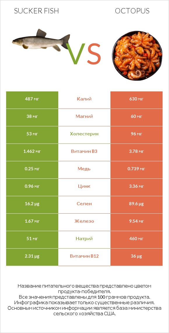 Sucker fish vs Octopus infographic