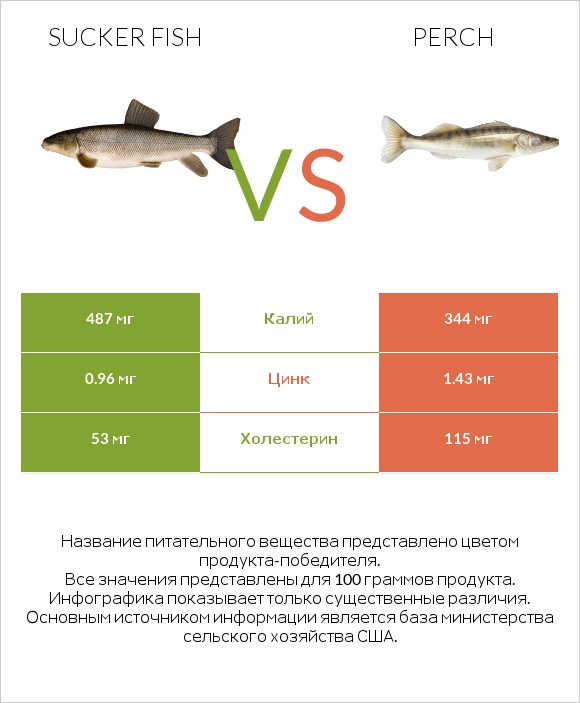 Sucker fish vs Perch infographic