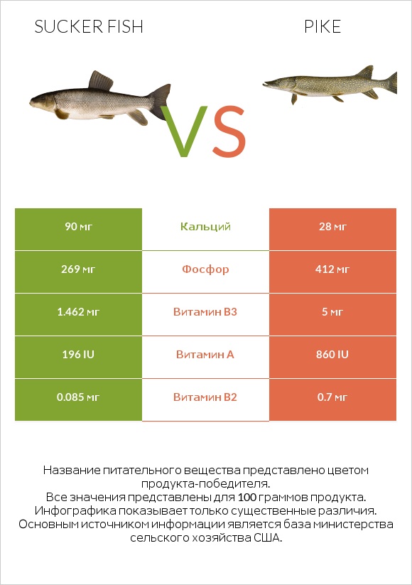 Sucker fish vs Pike infographic