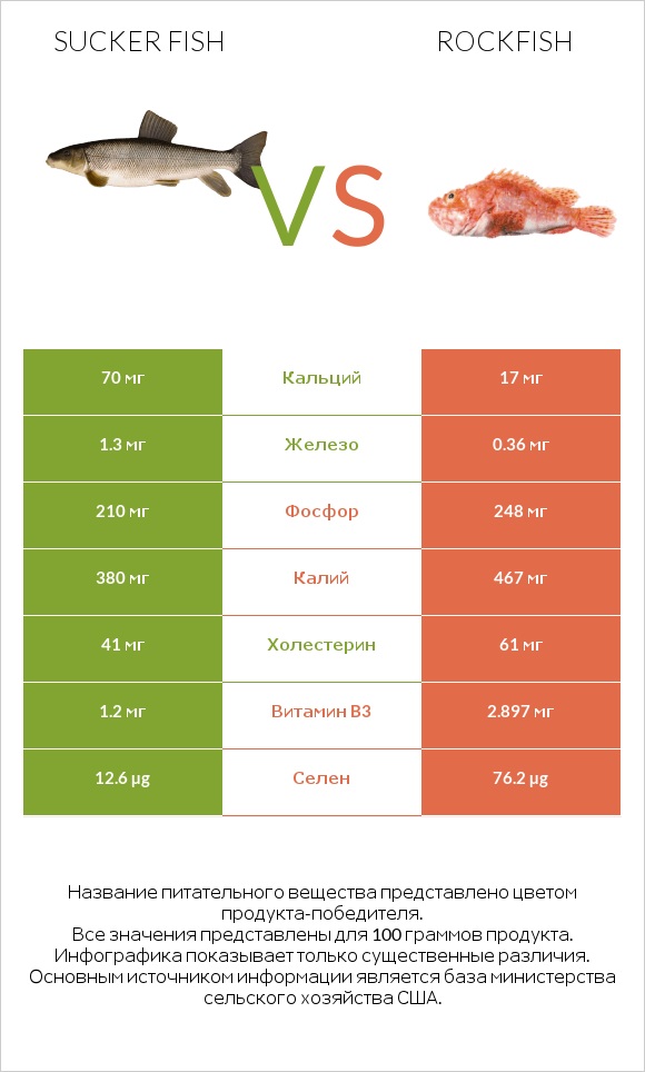 Sucker fish vs Rockfish infographic