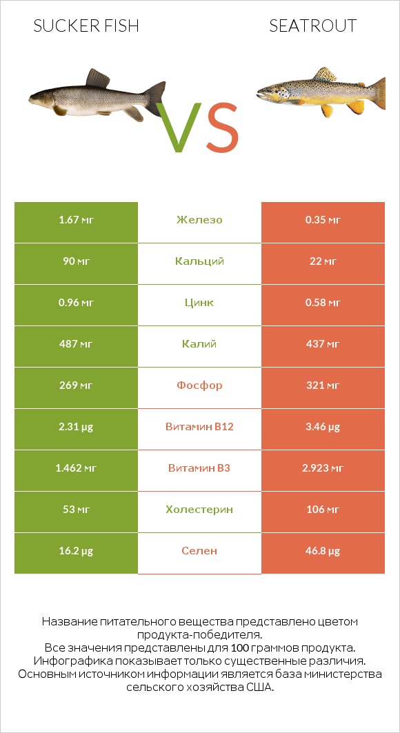 Sucker fish vs Seatrout infographic