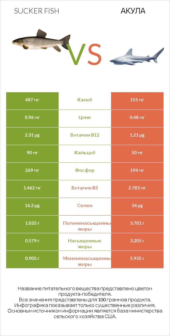 Sucker fish vs Акула infographic