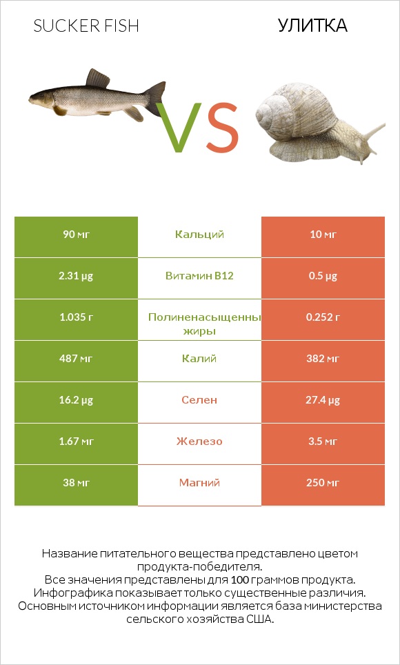 Sucker fish vs Улитка infographic