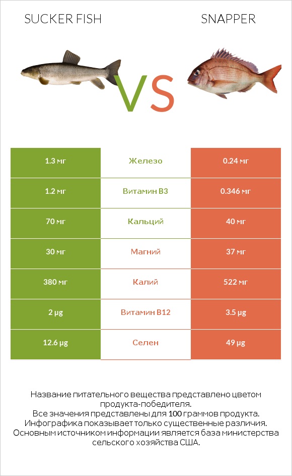 Sucker fish vs Snapper infographic