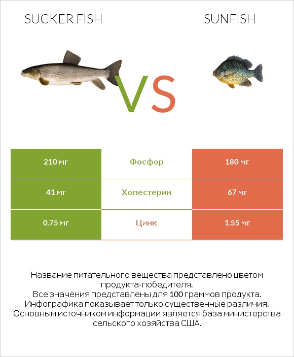 Sucker fish vs Sunfish infographic