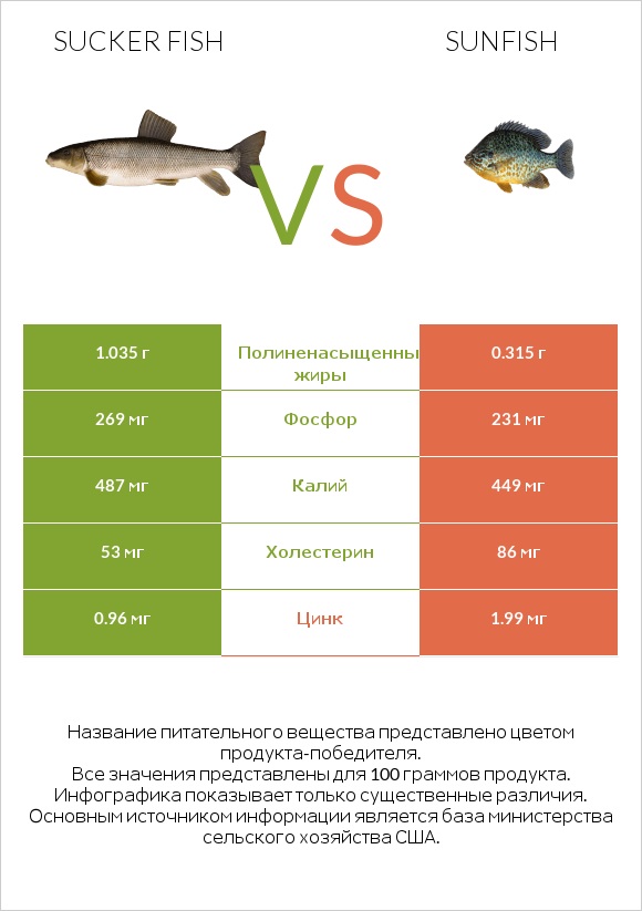 Sucker fish vs Sunfish infographic