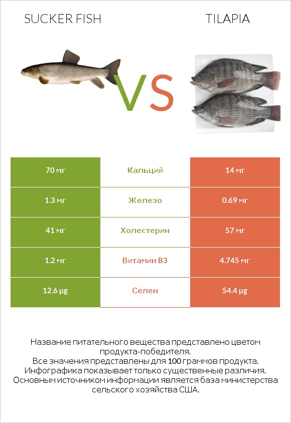 Sucker fish vs Tilapia infographic
