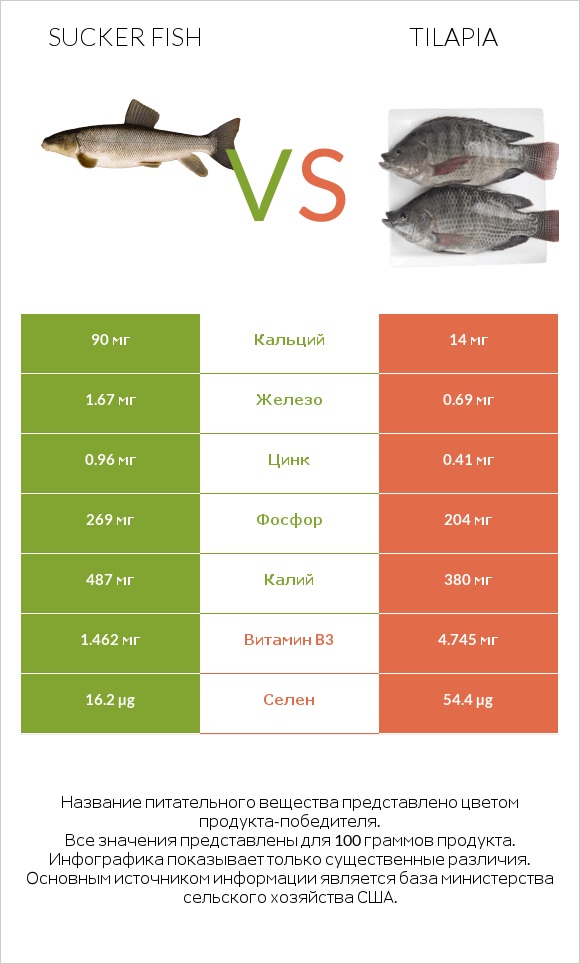 Sucker fish vs Tilapia infographic