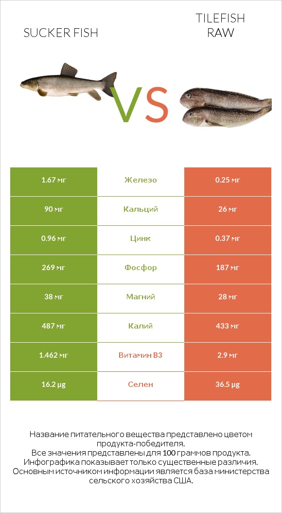 Sucker fish vs Tilefish raw infographic