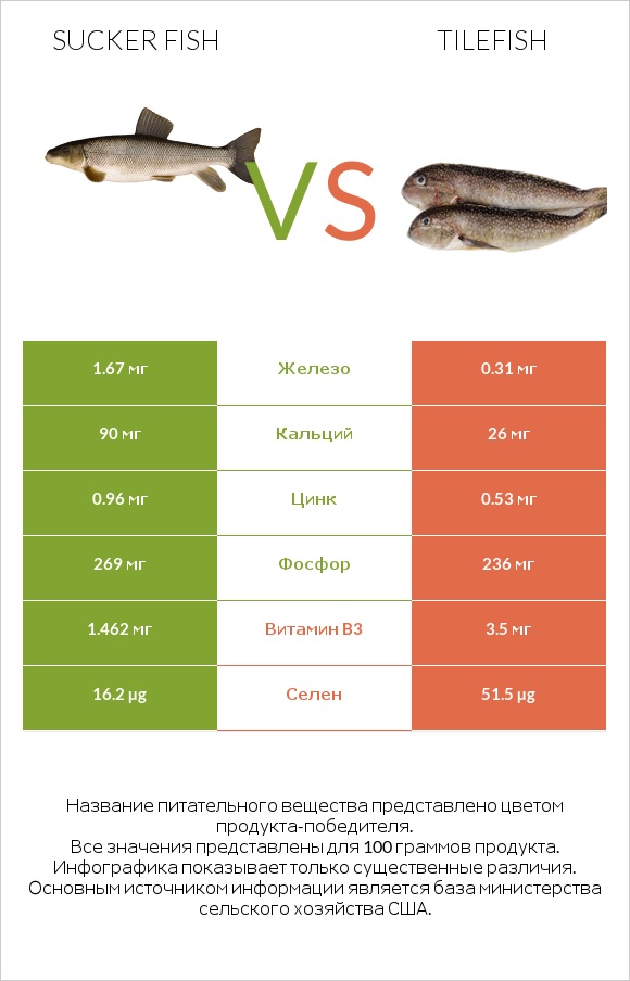 Sucker fish vs Tilefish infographic