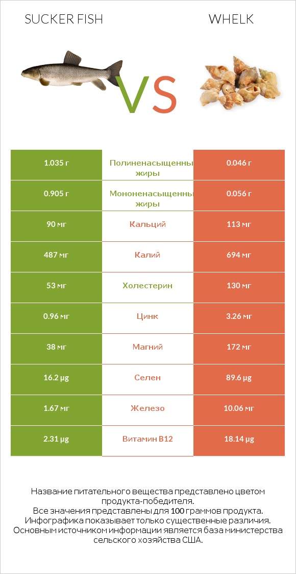 Sucker fish vs Whelk infographic