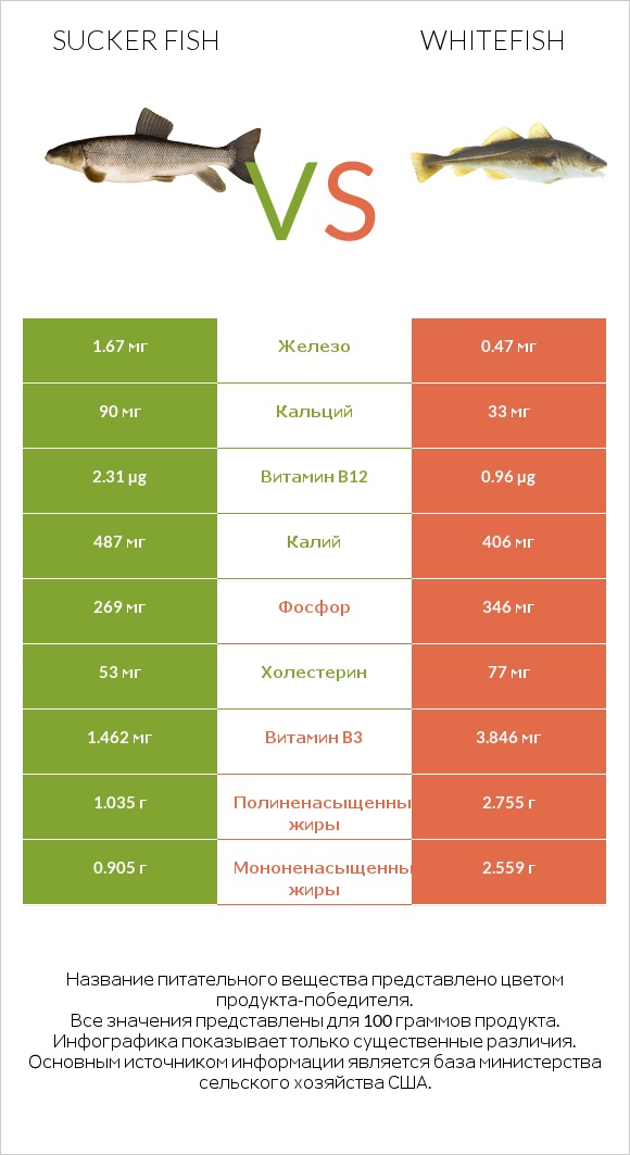 Sucker fish vs Whitefish infographic