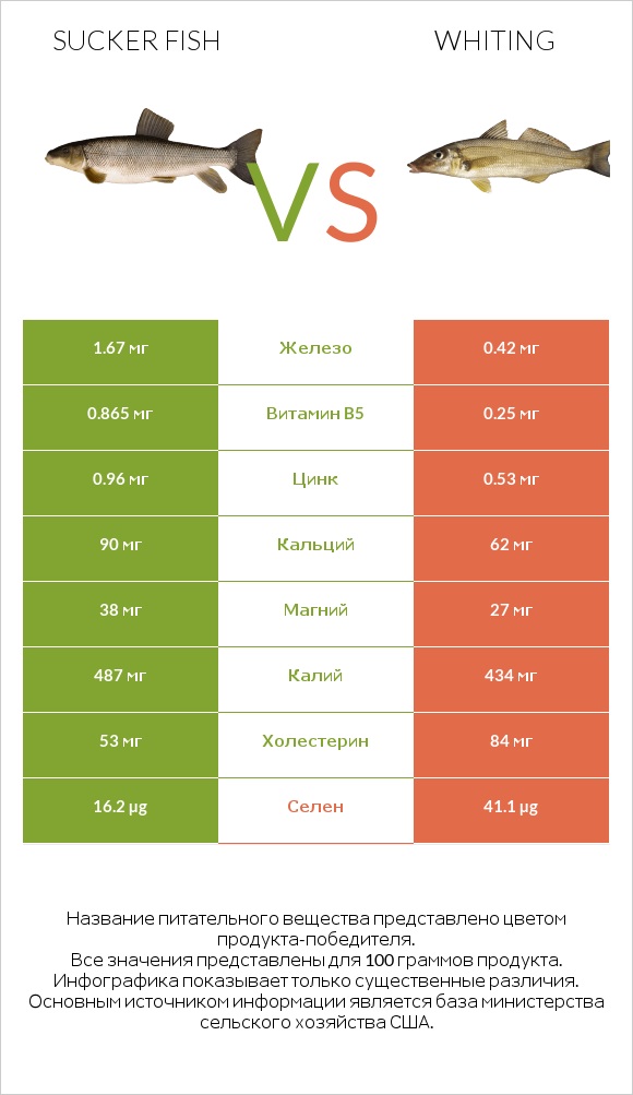 Sucker fish vs Whiting infographic