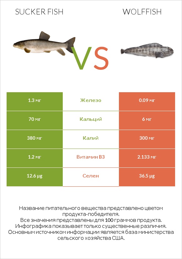 Sucker fish vs Wolffish infographic