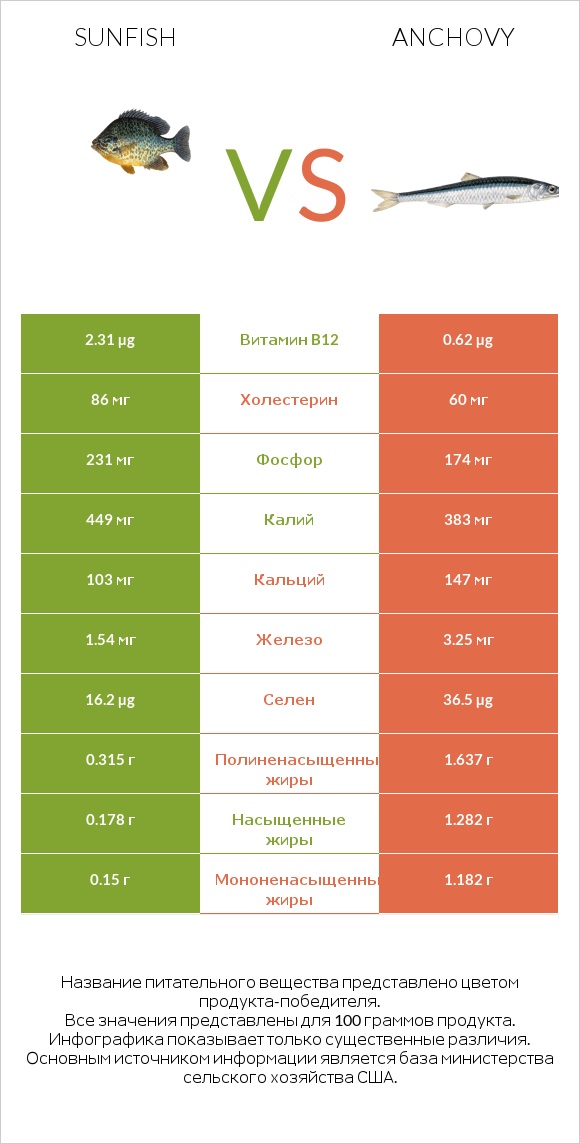 Sunfish vs Anchovy infographic