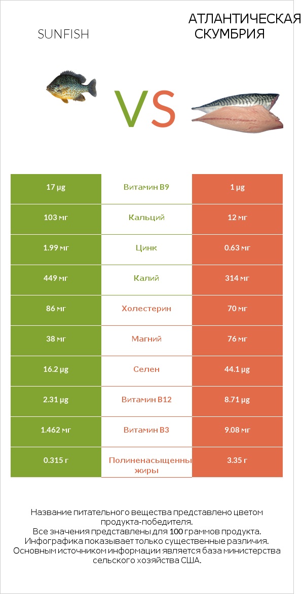 Sunfish vs Атлантическая скумбрия infographic