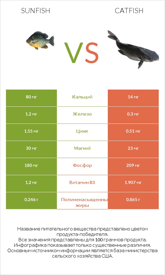 Sunfish vs Catfish infographic