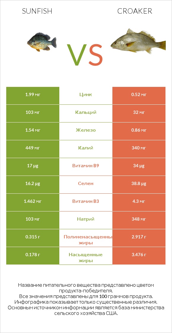 Sunfish vs Croaker infographic