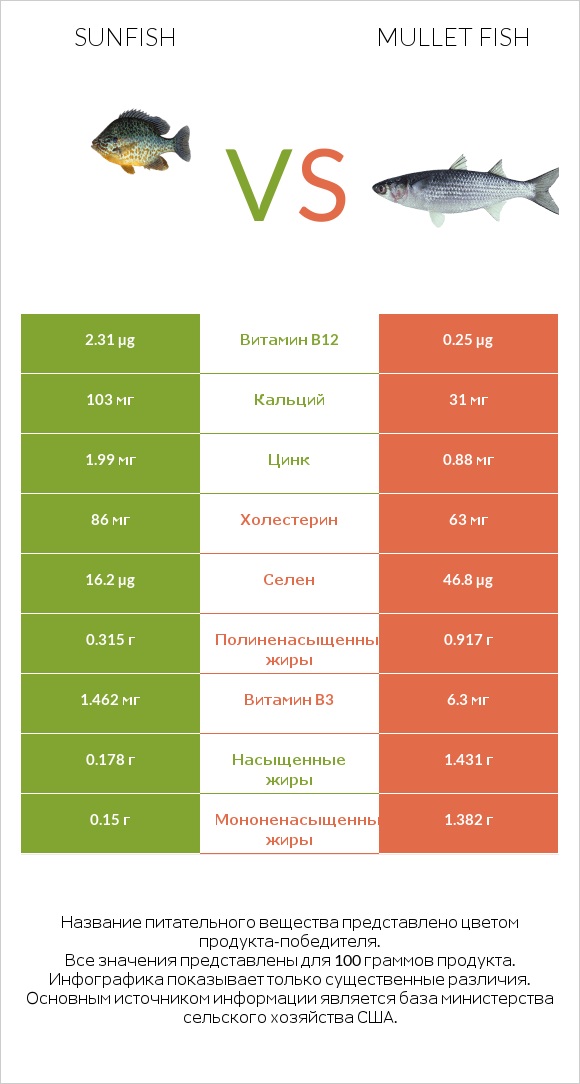 Sunfish vs Mullet fish infographic