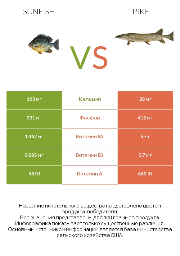 Sunfish vs Pike infographic