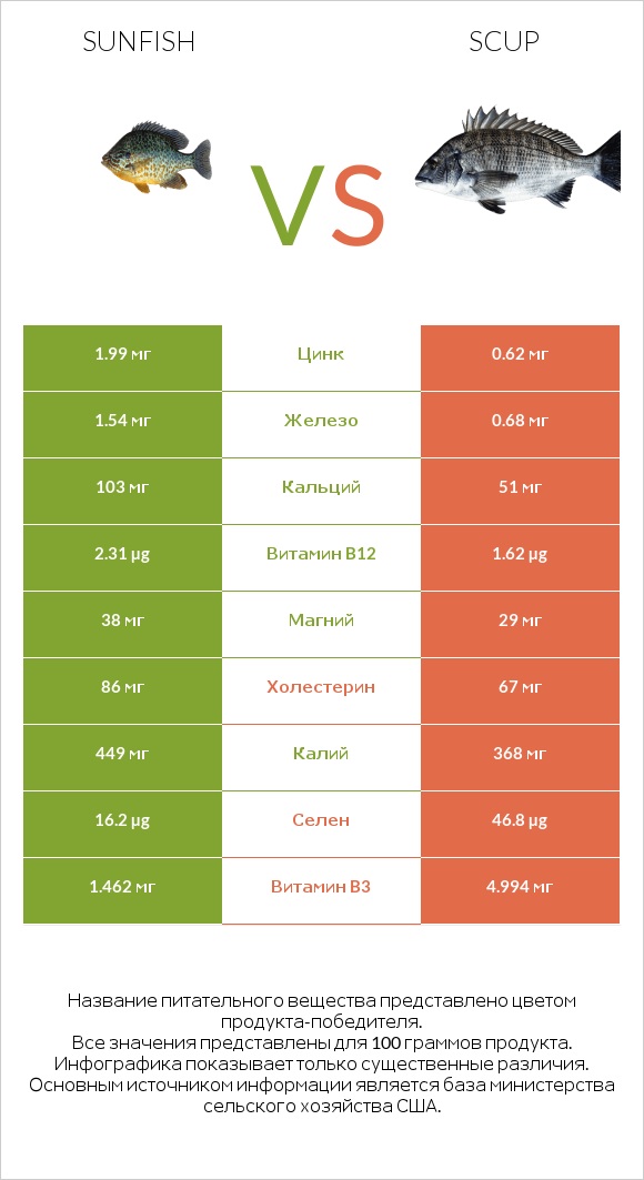 Sunfish vs Scup infographic