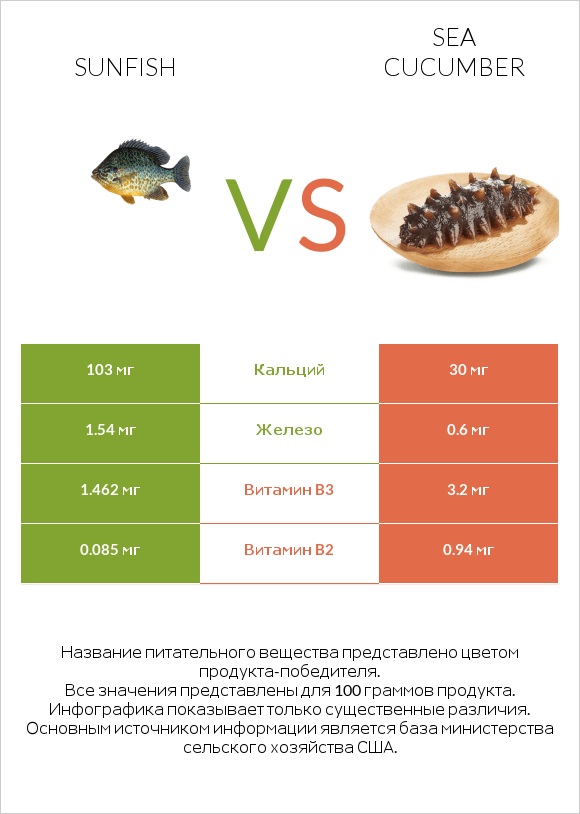 Sunfish vs Sea cucumber infographic