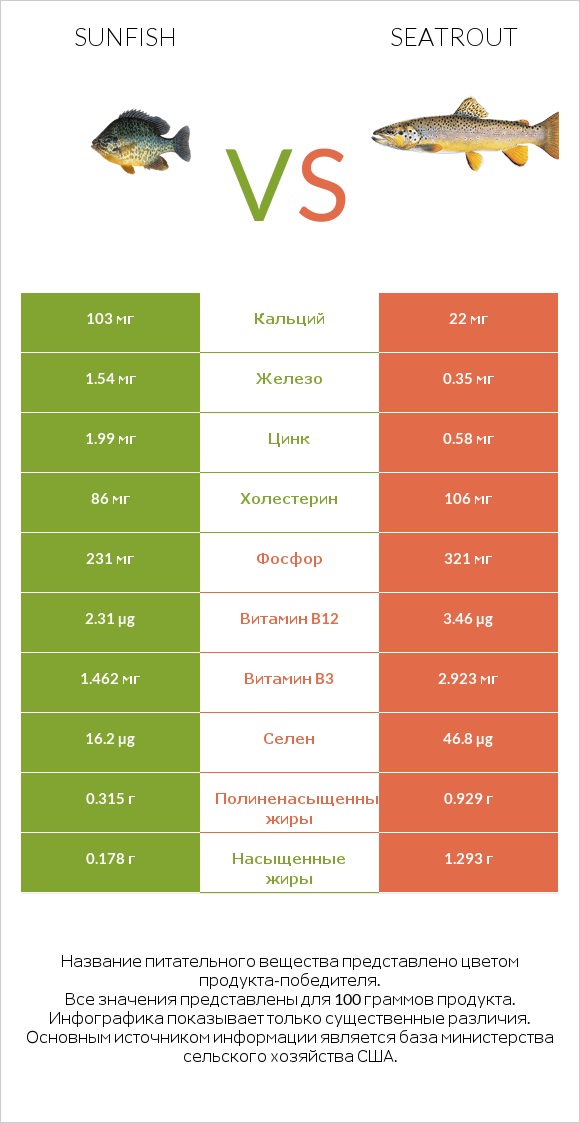 Sunfish vs Seatrout infographic