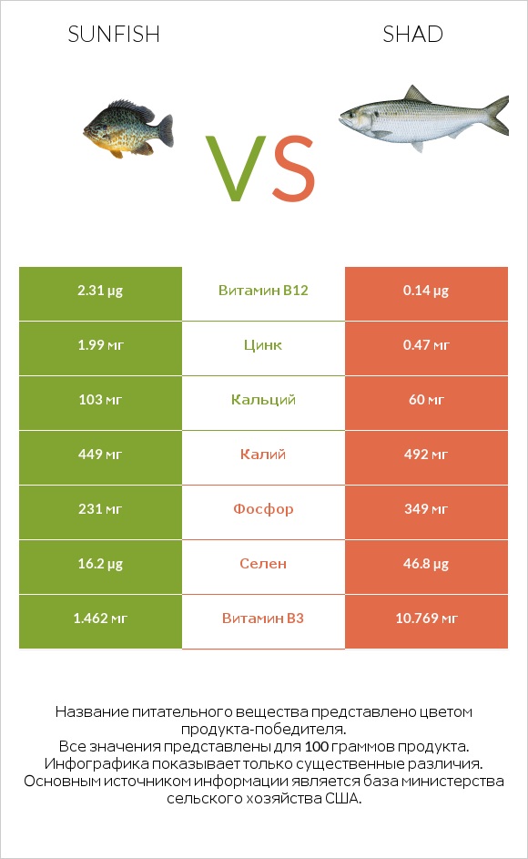 Sunfish vs Shad infographic